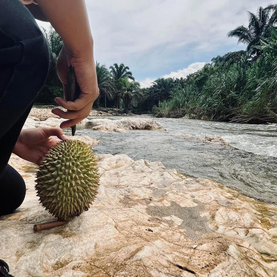 Sahom Valley Resort - Agro & Eco Park Kampar Kültér fotó